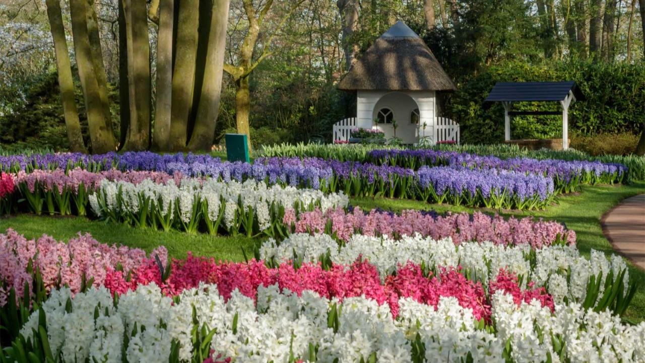 Molecaten Park Noordduinen 3* Katwijk aan Zee