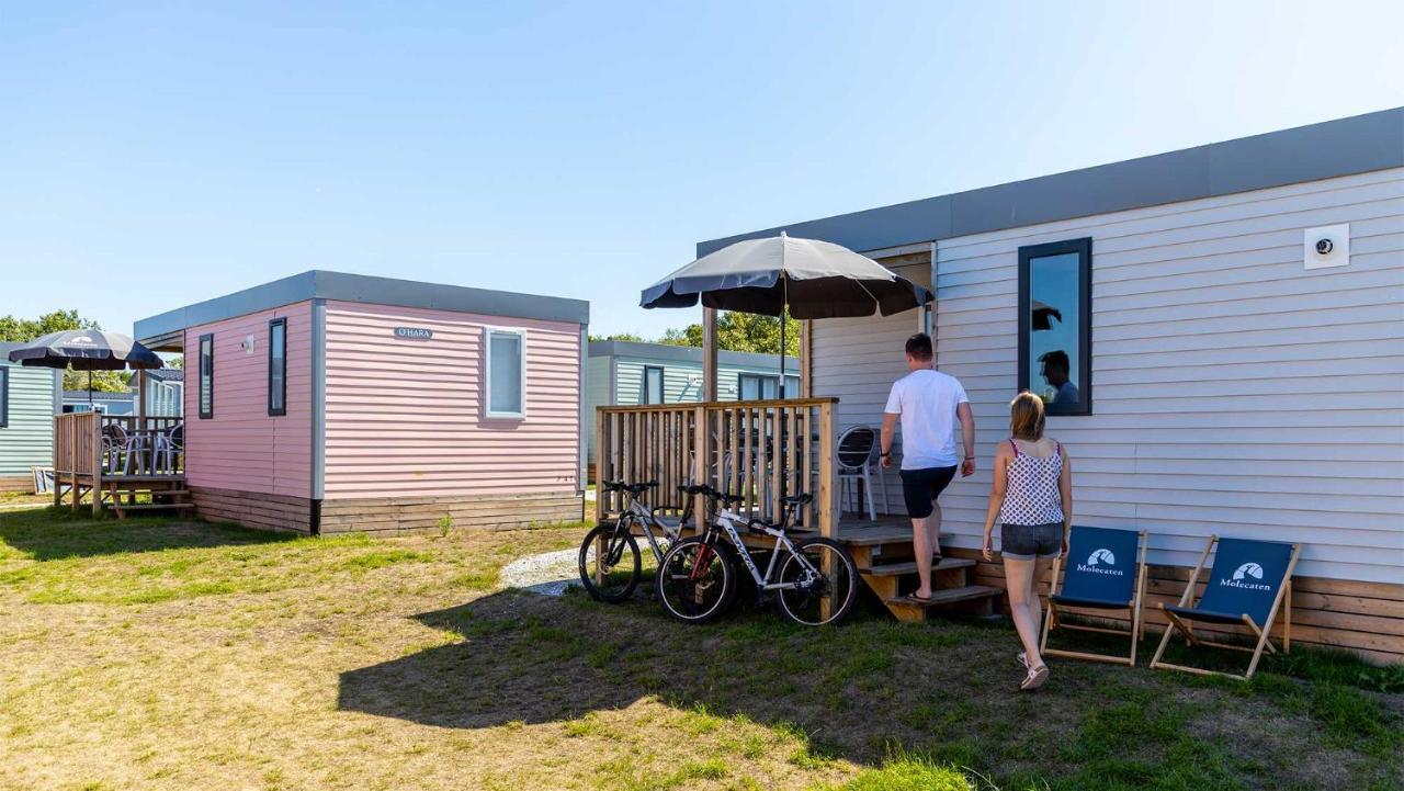 Molecaten Park Noordduinen 3* Katwijk aan Zee