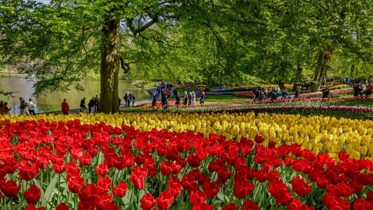 Molecaten Park Noordduinen
